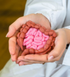 קוליטיס כיבית - תמונת המחשה